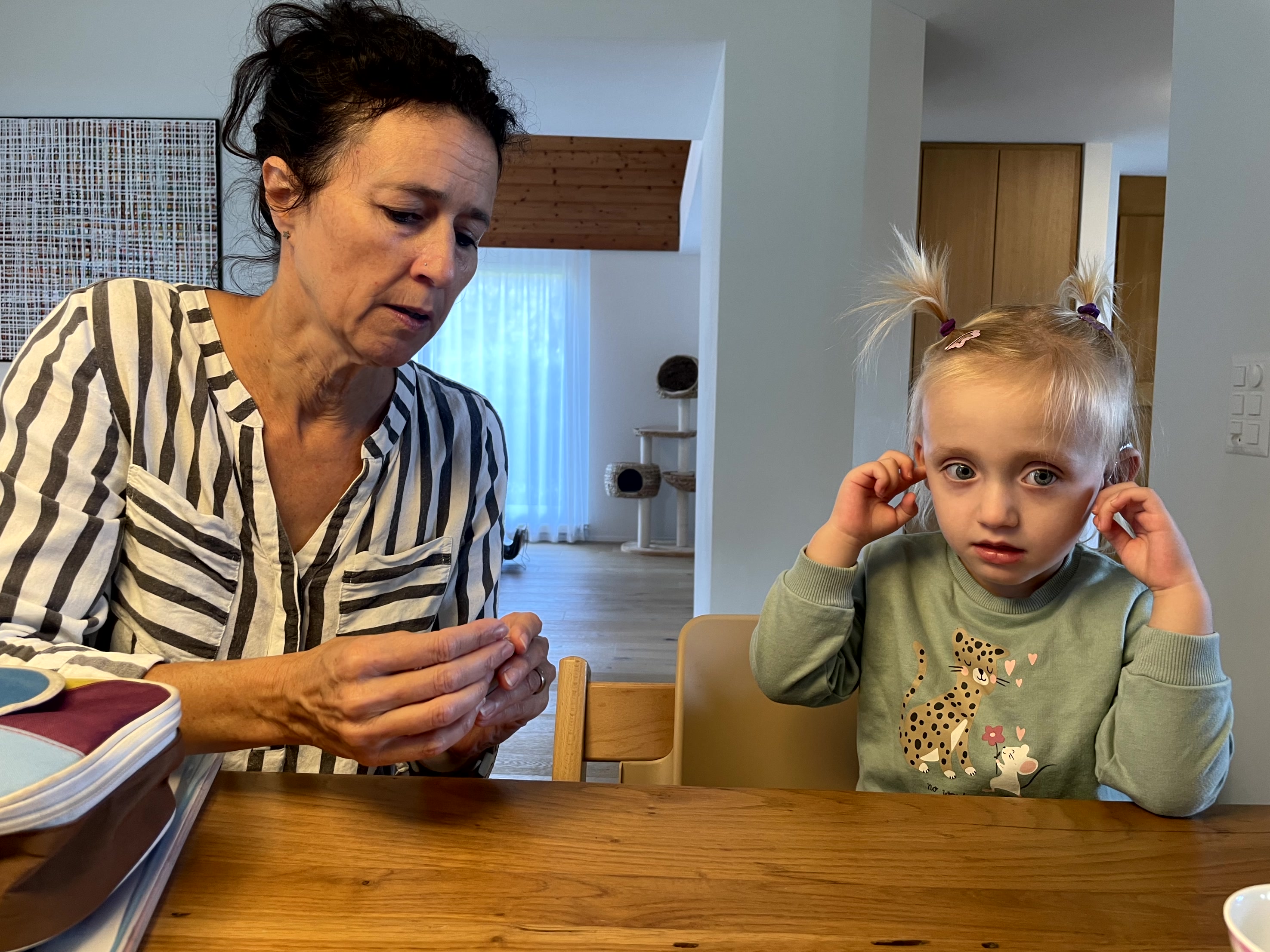 Kontrolle Hörgeräte