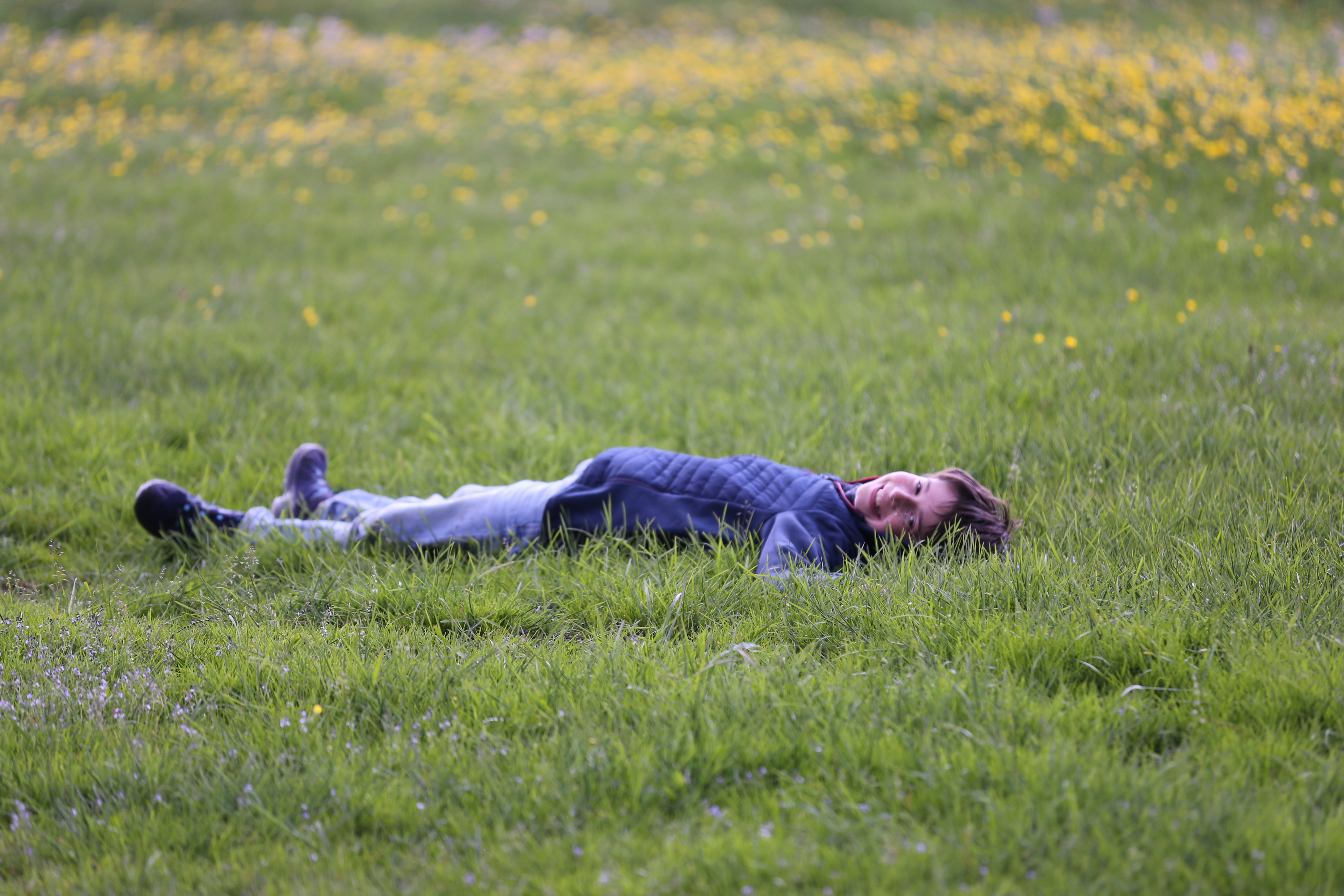 Bild Schüler auf Wiese