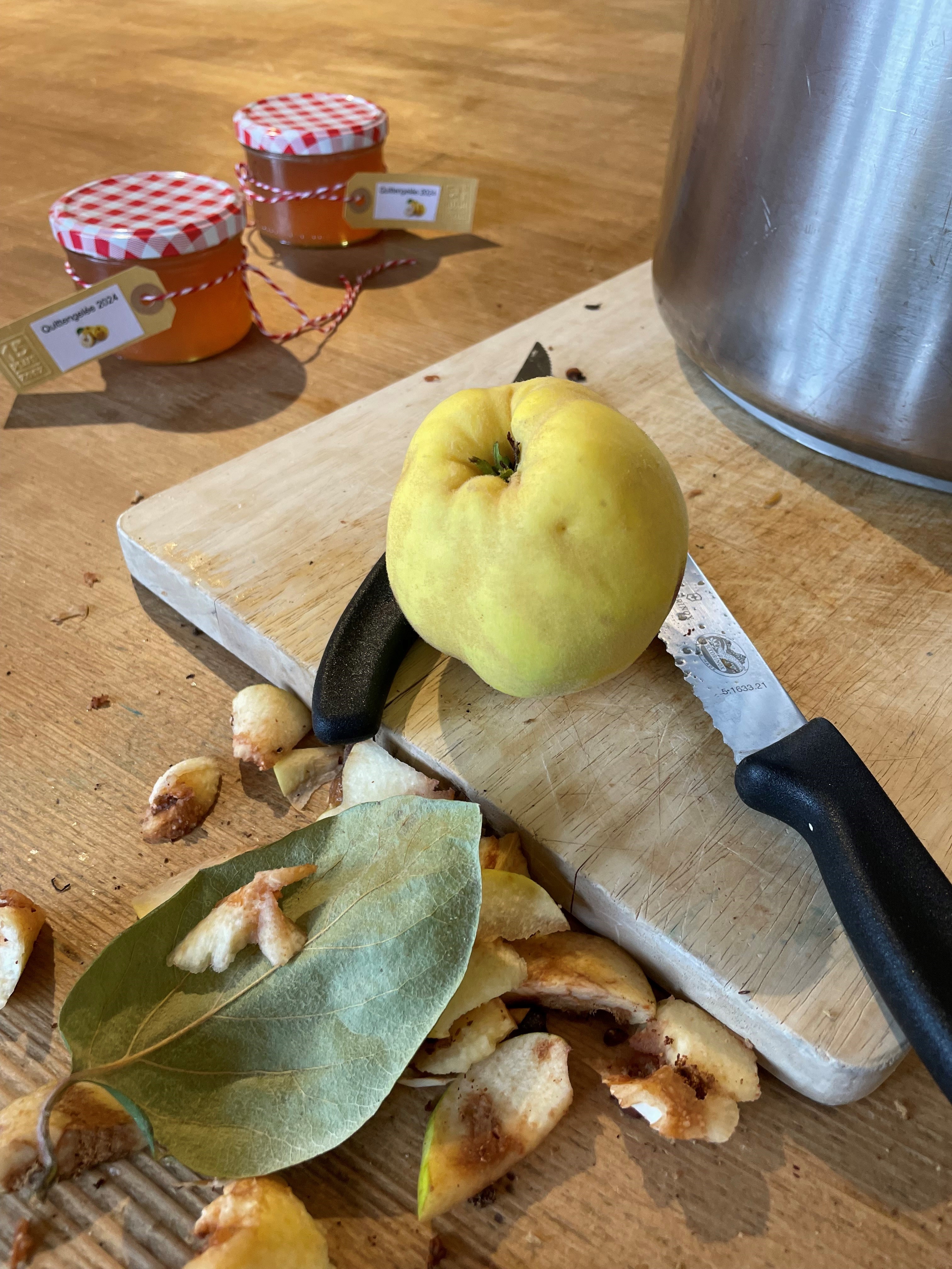 Schülerfirma Quitten schneiden