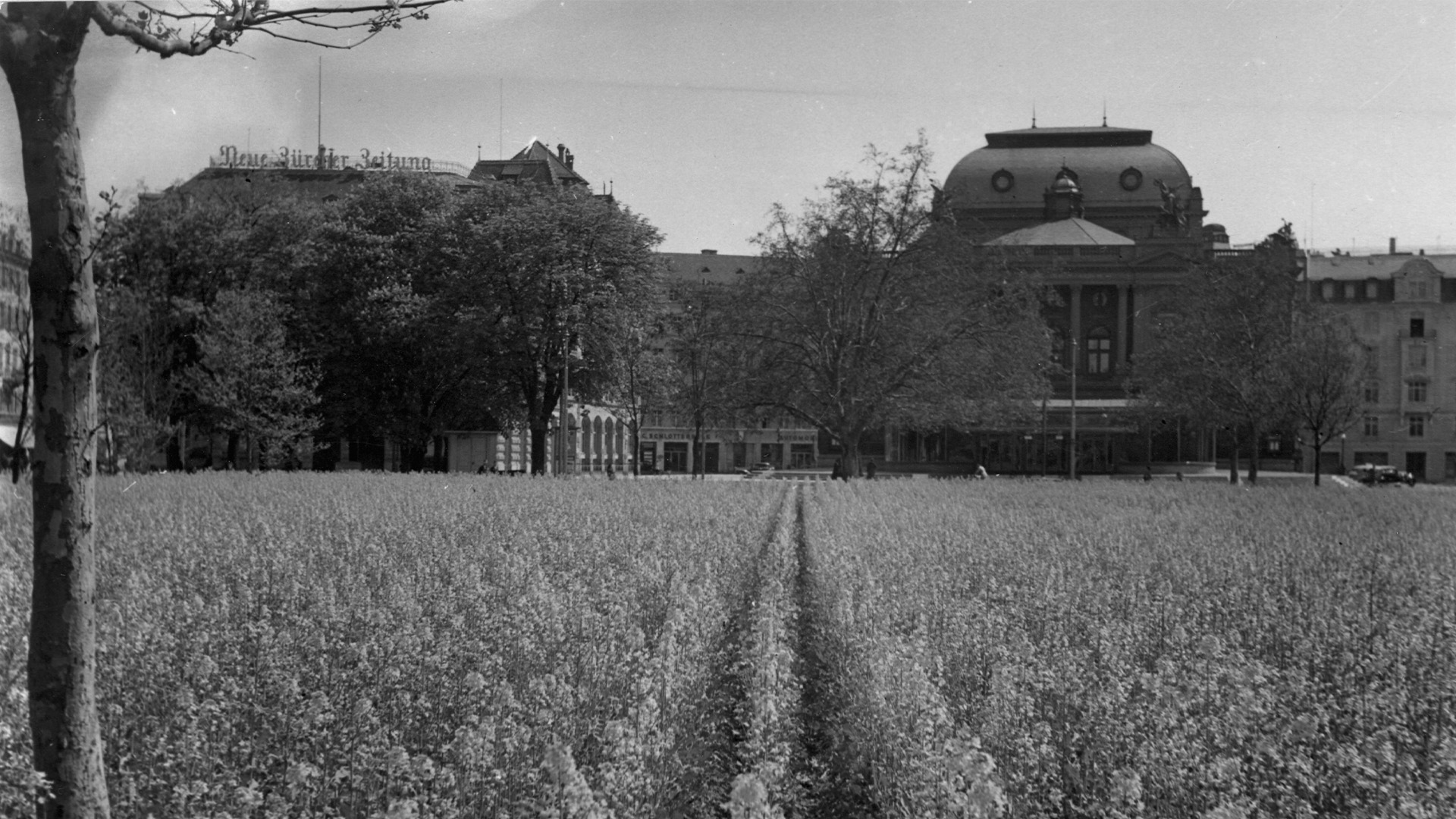 Die Anstalt im Zweiten Weltkrieg 